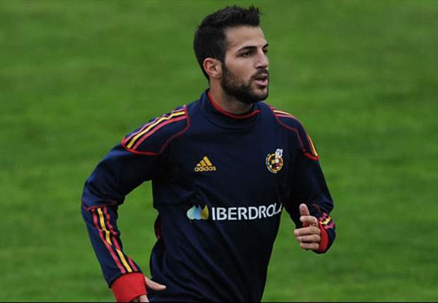 World Cup 2010: Spain midfielder Cesc Fabregas believes the United States will reach the semi-finals