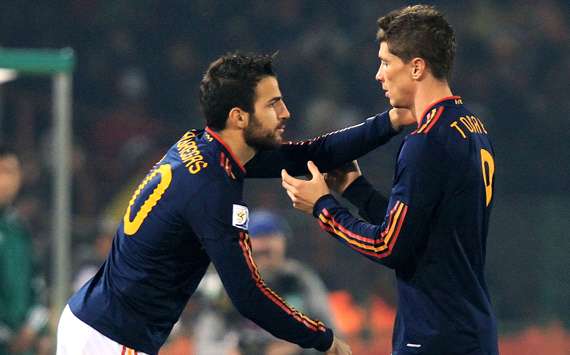 2010 FIFA World Cup,Fernando TorresFrancesc Fabregas,Spain(Getty Images)