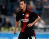 Bayer Leverkusen, Hanno Balitsch (Getty Images)