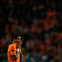 Gregory van der Wiel, Netherlands