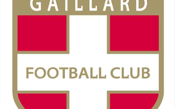Ligue 1, ETG - Angoula out deux semaines