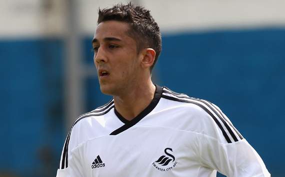 Neil Taylor Swansea