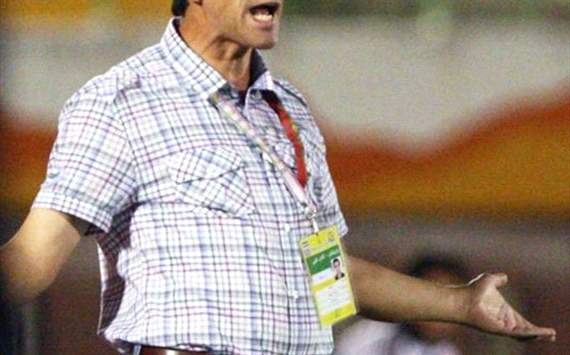 majid saleh