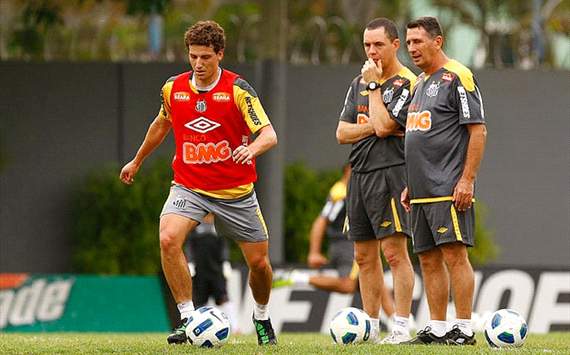Elano - Santos (Foto: Ricardo Saibun / Santos FC) 