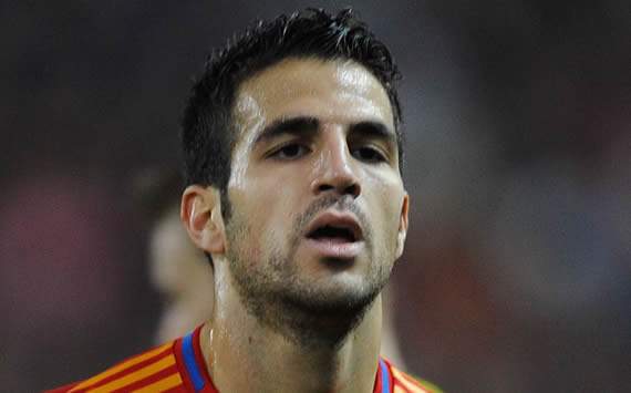 Cesc Fabregas, Spain