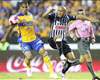 Tigres: La ciudad de Monterrey ha ganado tres de los últimos cinco campeonatos