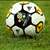Poland & Ukraine outside threats for Euros