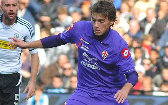 Torino Inginkan Adem Ljajic