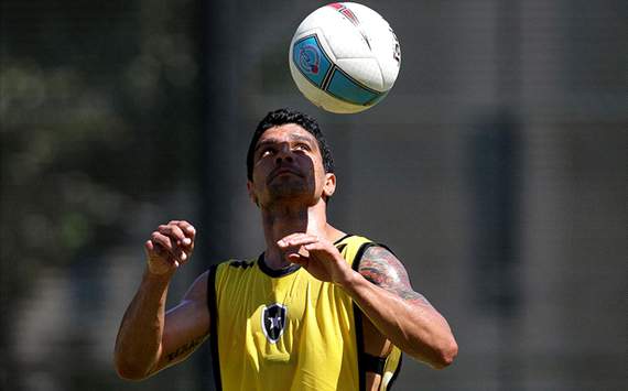 Renato - Botafogo (Satiro Sodré/AGIF)