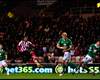 Sunderland 3-0 Norwich City: Easy points