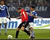 Germany, Bundesliga, FC Schalke 04 vs 1. FSV Mainz 05, Joel matip, Raul