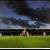 Sligo sorry for 'disgusting' attack