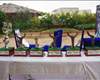FPAI Fans Player of the Year nominees