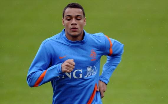 Gregory van der Wiel, Netherlands