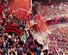 A cartilha de conselhos para o Flamengo se dar bem no Brasileirão
