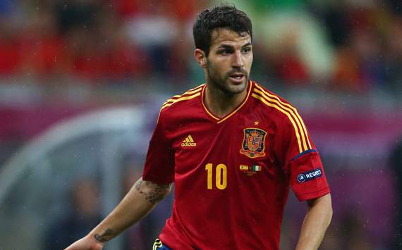 UEFA EURO 2012, Spain v Ireland - Group C: Cesc Fabregas