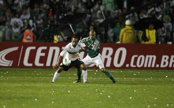 Everton - Coritiba x Palmeiras