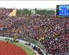 Kotoko get temporary home ban 
