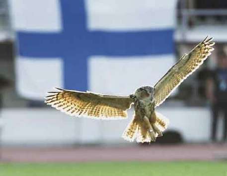 Eule stoppte Spiel in Helsinki