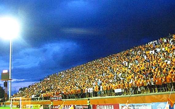 มหัศจรรย์พลังสีส้มที่เชียงราย