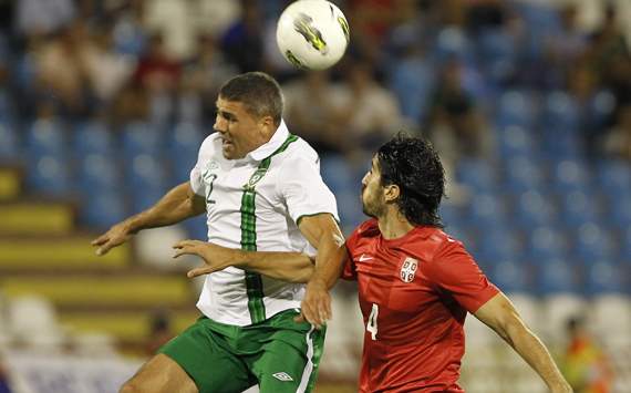 Serbia v Ireland, Jon Walters, Milan Bisevac
