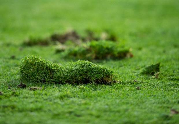 Frank Dell'Apa: Youth need grass, focus on skills over fitness