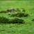 Valcke fears for World Cup pitches