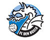 FC Den Bosch blijft in categorie I