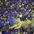 Las otras goleadas ante Boca 