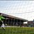 Saints beat Bohs to go top