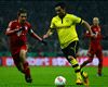 Gundogan confident Borussia Dortmund will win the Champions League