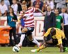German-Americans eager for friendly