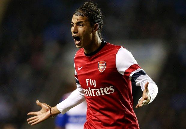 Crystal Palace sign Chamakh from Arsenal