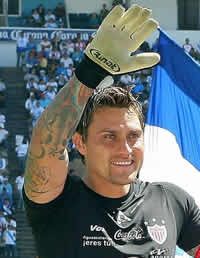 gato ortiz