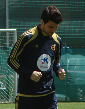 Cesc Fabregas - Spain (Goal.com)