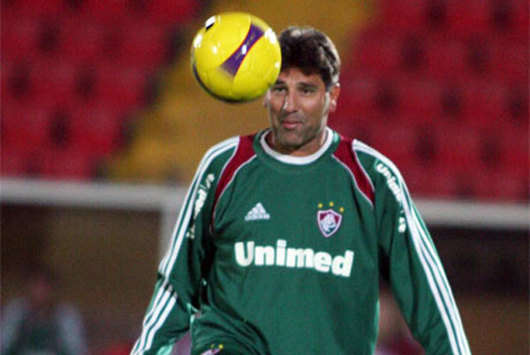 Renato Gaúcho, Fluminense/ Libertadores da América