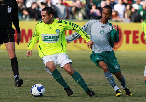 Valdivia, Palmeiras