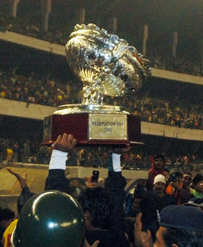 Federation Cup: Broken Cup (Mango Peel)