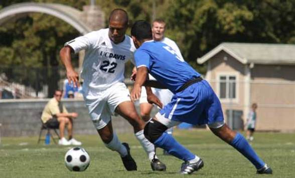 Amarikwa (Courtesy Mark Hombo, UC Davis media relations)