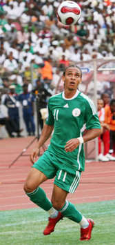 Akpoborie: Stephen Keshi should not have considered Odemwingie for Afcon