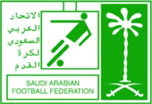 Saudi Arabia League logo