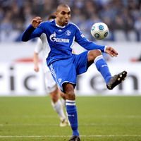 Orlando Engelaar, Schalke 04 (foto PRO SHOTS)