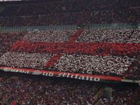 Serie A: Milan fans (Foto Grazia Neri)