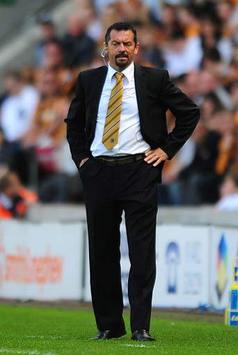 Brown Leaves Hull