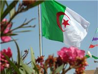 algeria flag