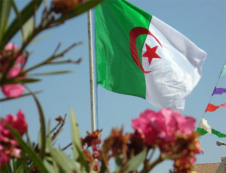 algeria flag