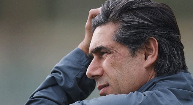 afshin ghotbi