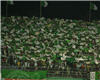 Algeria Fans (Goal.com\ar)