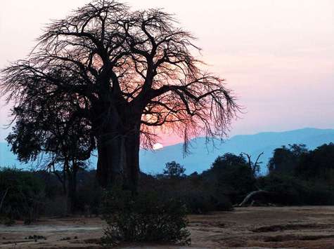 The beauty of nature in Polokwane - South Africa