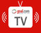 Jadwal Televisi 23 - 25 November 2010